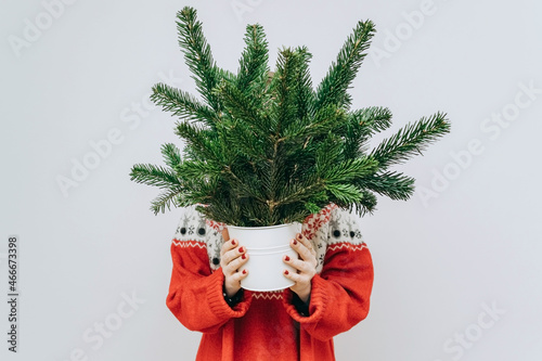 a modern woman in a red sweater with fir branches in her hands at Christmas on a light background. The minimum concept of the new year. no face