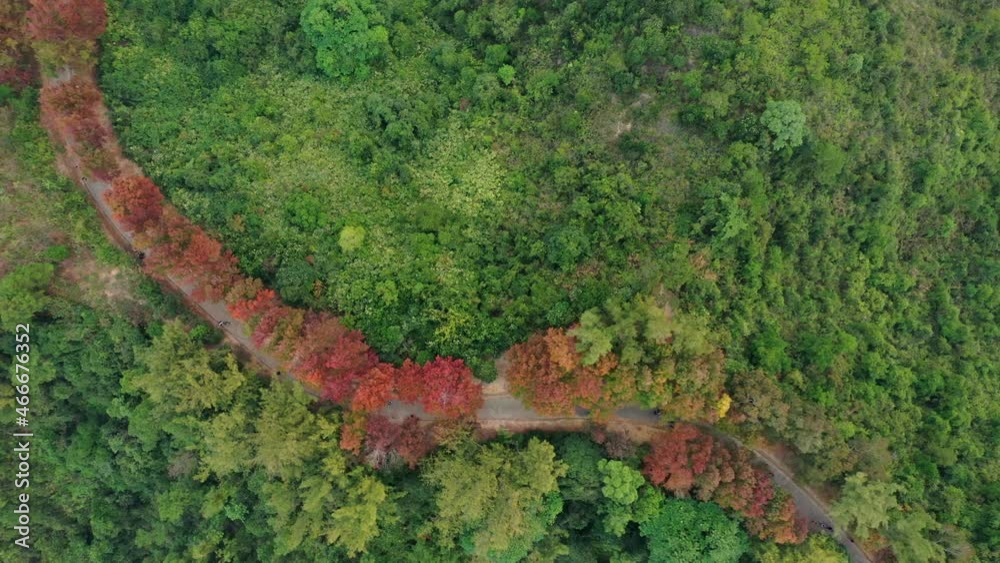 Top down view of Mountain hiking trail in Hong Kong Top down view of Mountain hiking trail in Hong Kong