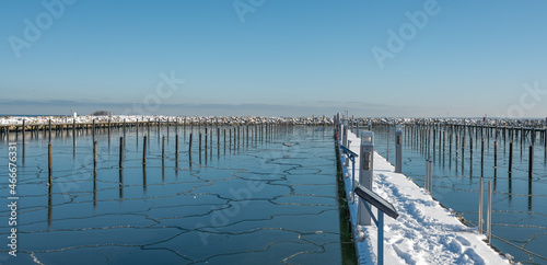 Yachthafen am Ostseebad Grömitz an der Ostsee im Winter zugefroren 