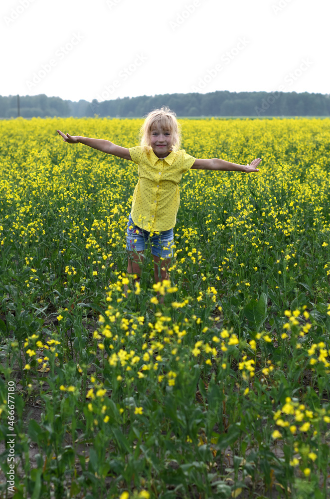 Fototapeta premium little girl in yellow field