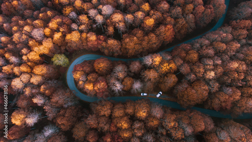 Aerial photography of a road in the cansiglio forest (Veneto region, Italy) during autumn foliage at sunset. White cars parked in the forest