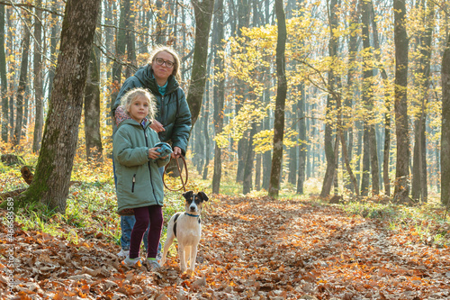 A woman in glasses and a jacket stands with a baby girl and a dog on a leash in an autumn forest. In the background fallen leaves and tree trunks. Mom and daughter in the woods for a walk. photo