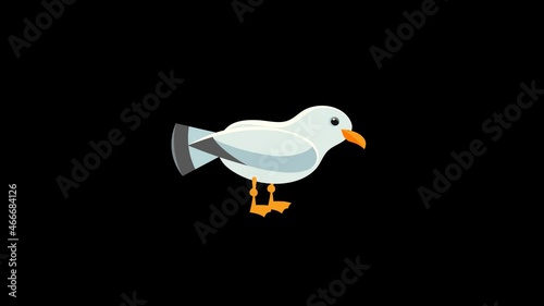 Bird cartoon animation, gull idle loop