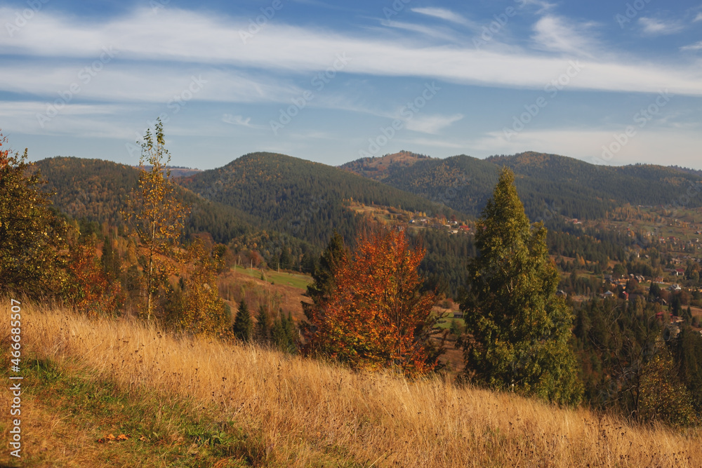 mountain autumn landscape with colorful forest