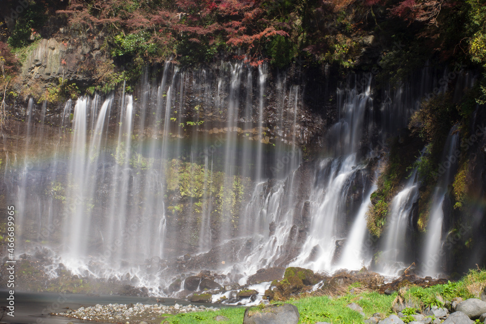 Obraz premium 白糸の滝