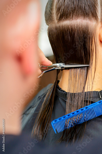The male hairdresser cuts back female client's hair with scissors and comb in a beauty salon