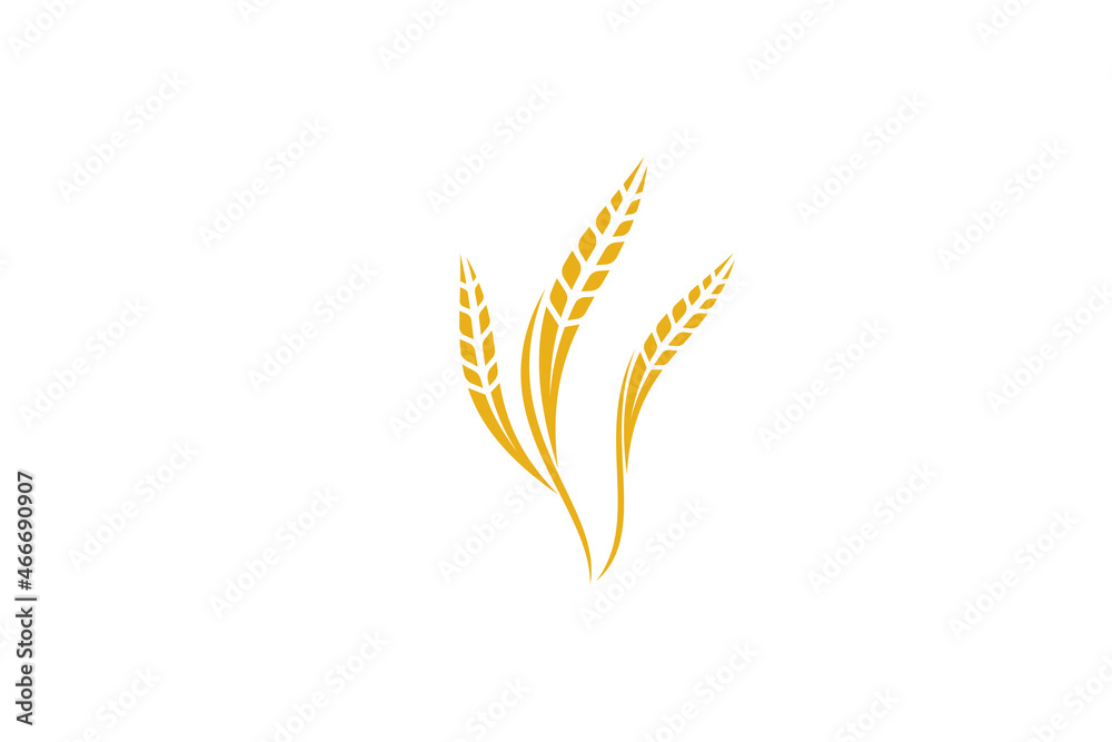 Wheat logo template design vector, icon illustration Wheat logo template design vector, icon illustration