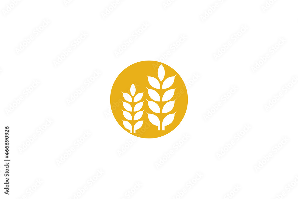 Wheat logo template design vector, icon illustration Wheat logo template design vector, icon illustration
