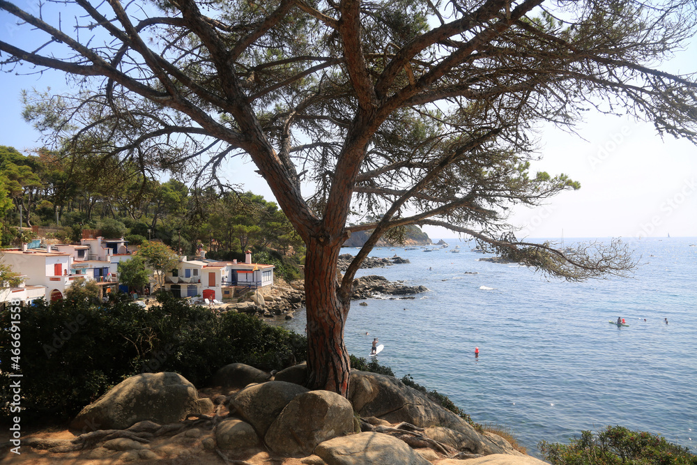 costa brava s' alguer costa brava s' alguer