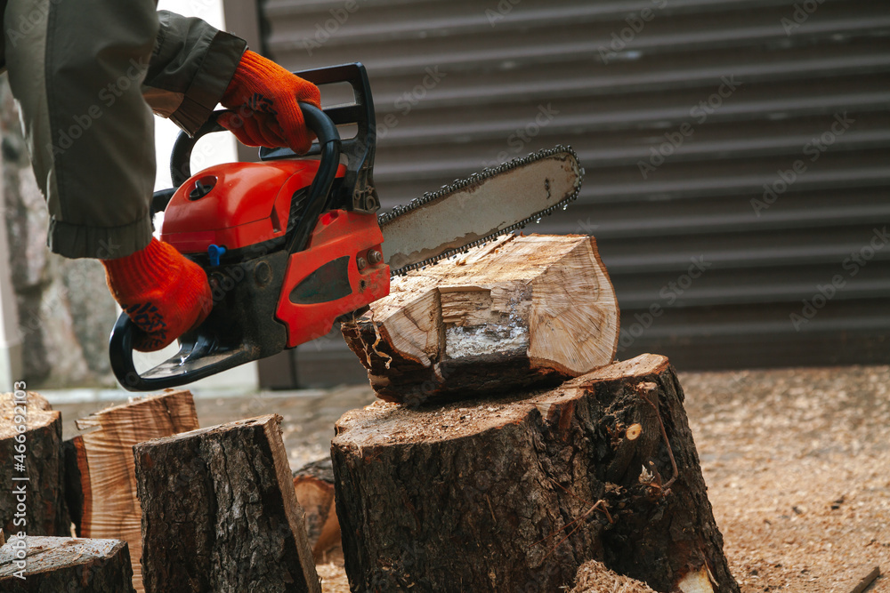 Chainsaw hands sawing large piece of wood