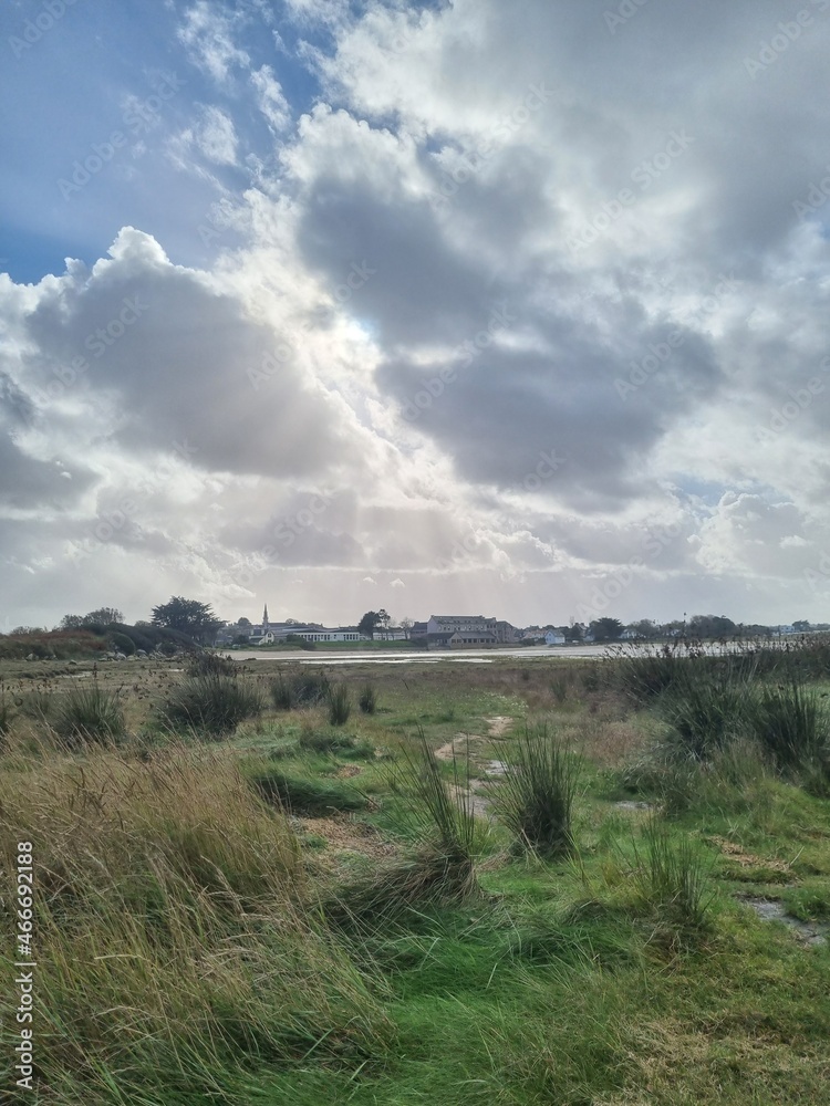 Obraz premium landscape with clouds