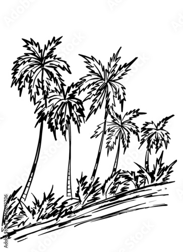 Black outline of palm trees on a white background