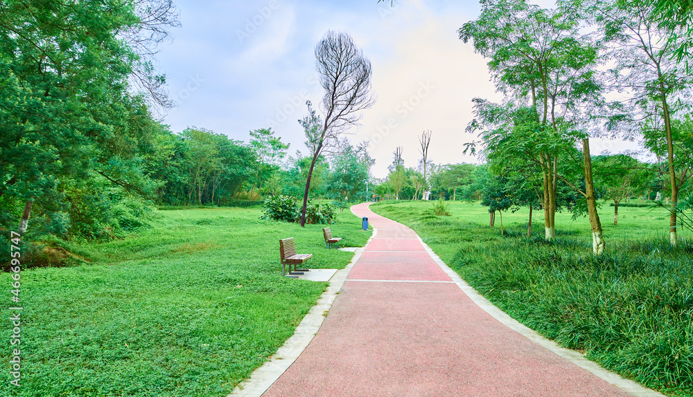 The path in the park