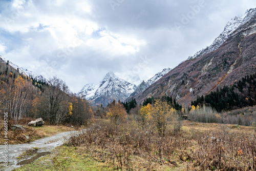 autumn, nature, landscape, gorge, valley, mountains, rocks, snow, forest, trees, firs, yellowed foliage, distance, expanse, height, horizon, light, shadow, glare, sky, gray clouds, beauty, walk,travel