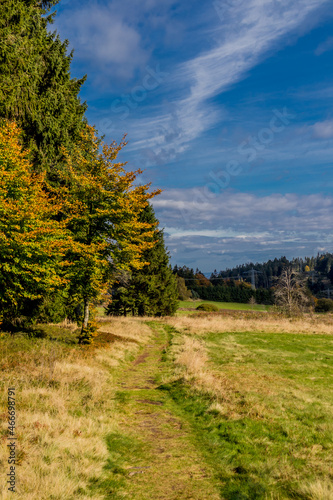Herbstspaziergang durch die wundersch  ne Natur des Th  ringer Waldes - Th  ringen