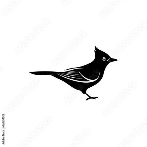 Blue jay bird silhouette vector illustration design with creative shape