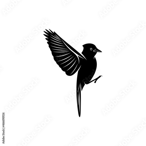 Blue jay bird silhouette vector illustration design with creative shape
