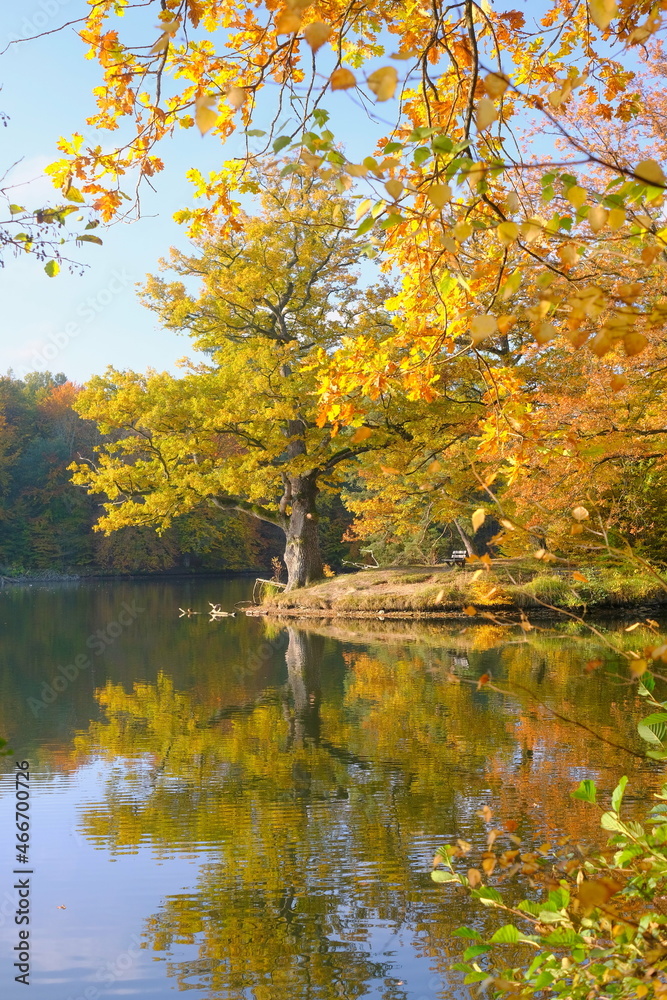 Herbststimmung am Bärensee Stuttgart Herbststimmung am Bärensee Stuttgart