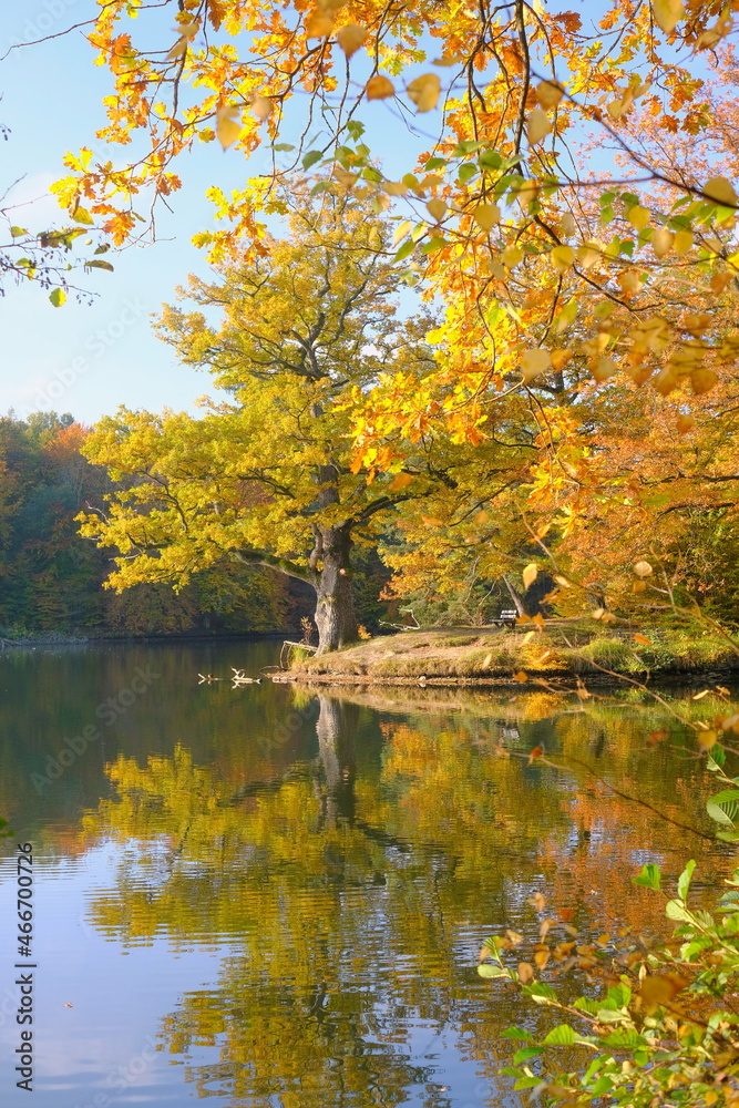 Herbststimmung am Bärensee Stuttgart