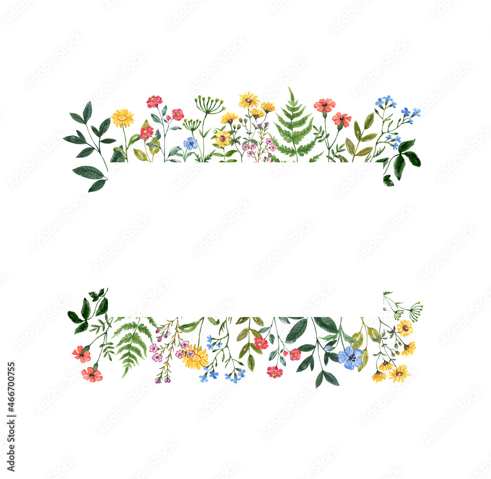 Colorful wildflower border with hand painted summer meadow flowers, leaves, isolated on white background. Rectangle botanical floral frame. Watercolor illustration. Invitation template. - obrazy, fototapety, plakaty 