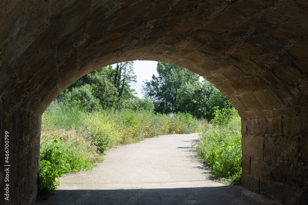 Obraz premium A walk path surrounded by greenery crosses a tunnel