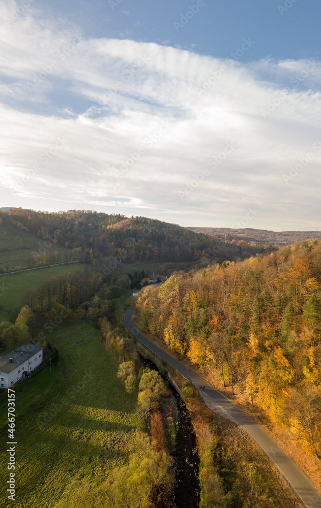 Fototapeta premium autumn landscape with road