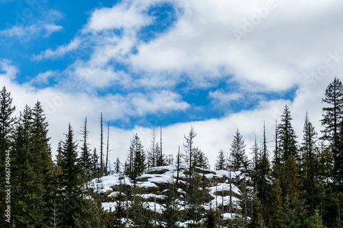 green forest on the mountain with blue sky and white clouds landscape
