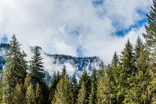 beautiful fog mountains in mist landscape with forest in foregroung british columbia canada