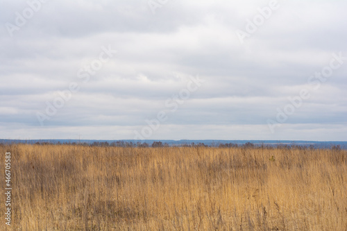 Calm autumn landscape in the field. Dried flowers, yellow orange dry herbs and autumn sky. Autumn season