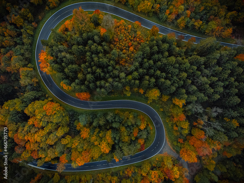 Birds view of a colourful s-shaped road in a forest in autumn