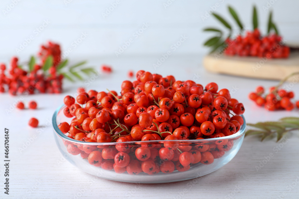 Fresh ripe rowan berries in glass bowl on white wooden table Fresh ripe rowan berries in glass bowl on white wooden table