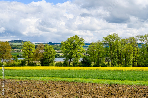 Seengen, Dorf, reformierte Kirche, Schloss Hallwyl, Wasserschloss, Burg, Hallwilersee, See, Spazierweg, Insel, Aabach, Aargau, Frühling, Sommer, Schweiz photo