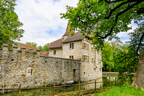 Seengen, Schloss Hallwyl, Wasserschloss, Burg, Hallwilersee, See, Spazierweg, Insel, Aabach, Aargau, Frühling, Sommer, Schweiz photo