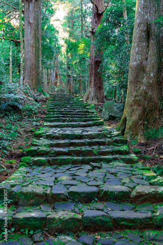 熊野古道・大門坂