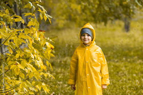 Boy in yellow waterproof cloak walk in park or forest in the rain in autumn. Outdoor activity © Марина Андрейченко