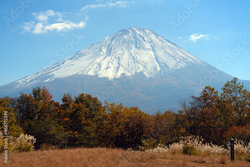 三湖台から紅葉の時期の富士山を観る