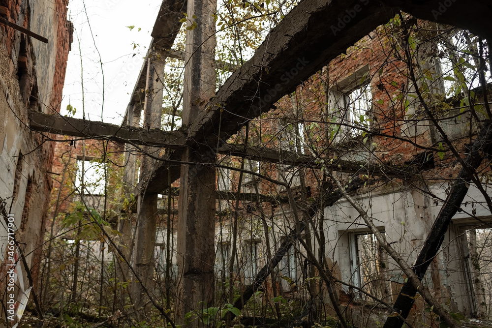 The ruins of the old house are overgrown with vegetation. Remains of old houses destroyed by old age or natural phenomena.