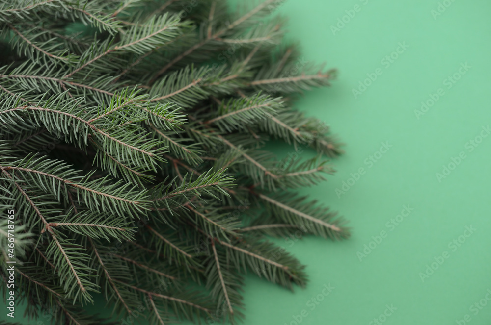 Branches of a Christmas tree on a green background, Christmas background
