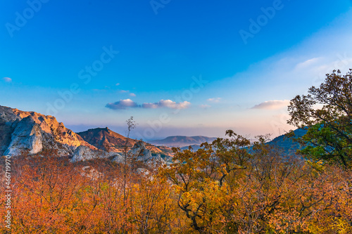 View of the yellow leaves of the autumn forest against the background of mountains and blue sky during sunset