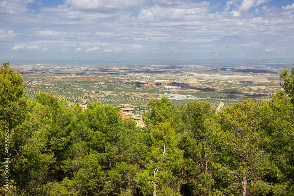 Orchards with olive trees around Jaen, seen from the Santa Catalina castle