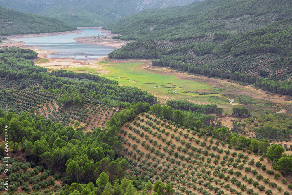 Olive groves with the Tranco de Beas reservoir in a distance, seen from a vantage point in Hornos