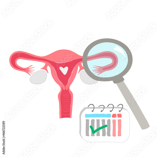 vector illustrations for gynecology. In vitro fertilization treatment of infertility, ovary cycle strokes, and font expended. 