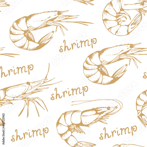 Shrimp hand drawn seamless pattern, vector illustration