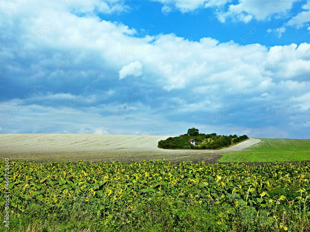 Czech Republic-view of an inhabited island in the middle of a field