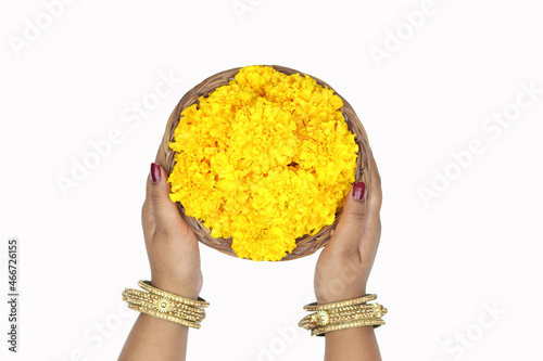Hands Of Girl In Bangles Chhodi Holding Yellow Marigold Flowers In Basket Called Genda Phool Ki Puja Tokri Or Dalia For Religious Offering On Shubh Deepawali, Dussehra, Navratri, Durga Pooja Etc.