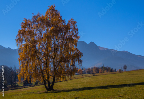 Jesienny widok w Tatrach