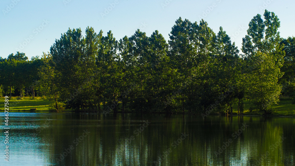 Rives d'un étang de pêche aux abords de l'Adour, dans la Chalosse, non loin du village de Toulouzette