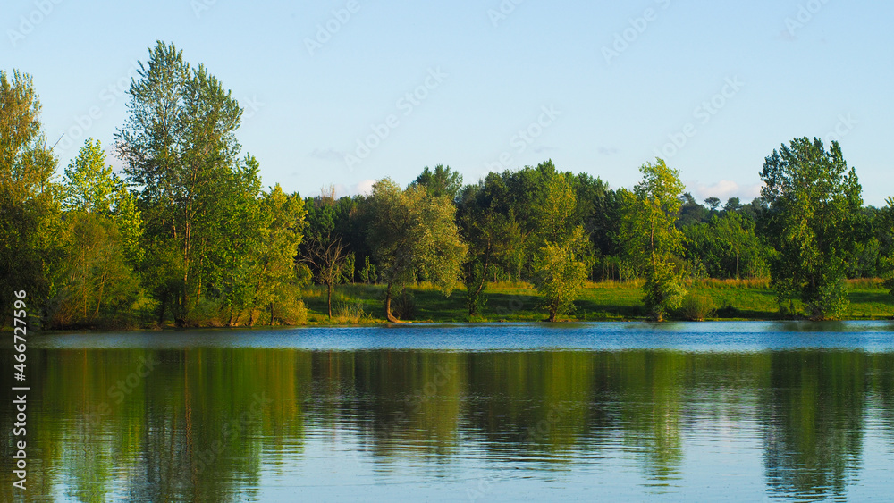 Rives d'un étang de pêche aux abords de l'Adour, dans la Chalosse, non loin du village de Toulouzette