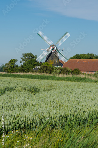 Traditionelle Windmühle in Ostfriesland, Seriemer Mühle, Niedersachsen, Deutschland