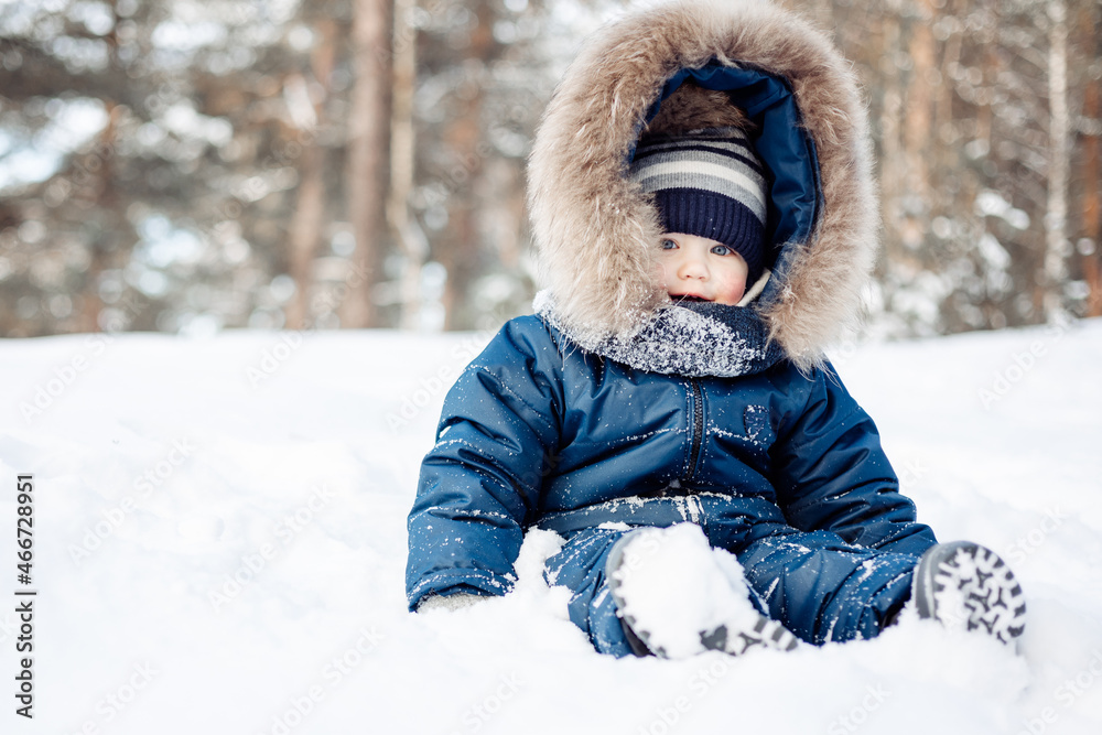 Portrait of child sitting in snow in spruce forest. Little kid boy having fun outdoors in winter nature. Christmas holiday. Cute toddler boy in blue overalls and knitted scarf and cap walking in park. Portrait of child sitting in snow in spruce forest. Little kid boy having fun outdoors in winter nature. Christmas holiday. Cute toddler boy in blue overalls and knitted scarf and cap walking in park.